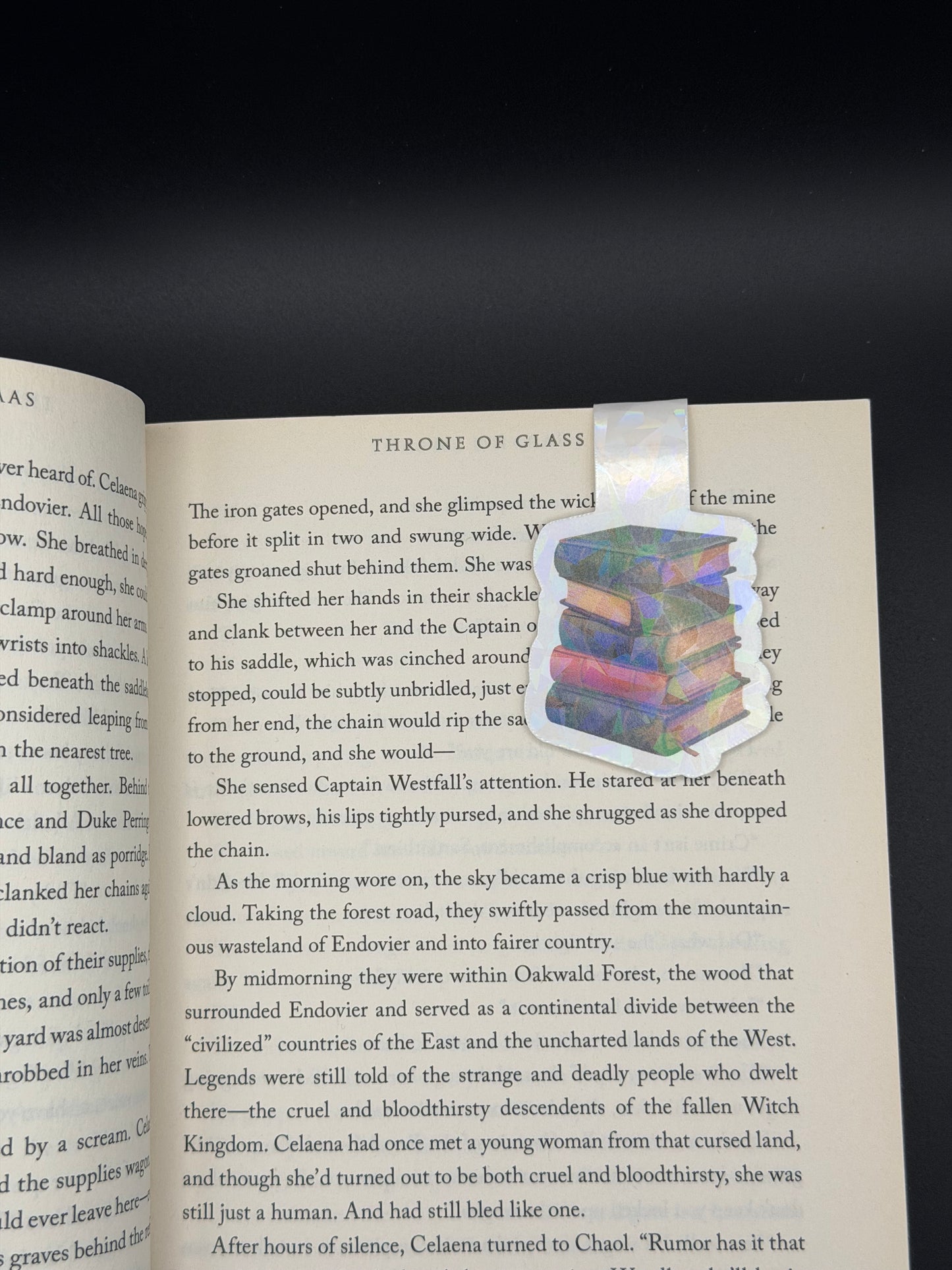Stacked Stories Magnetic Bookmark